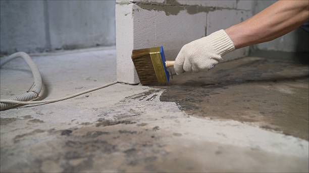 SJ Waterproofing Pros Waterproofing coverage map for Cohocton, NY and surrounding area